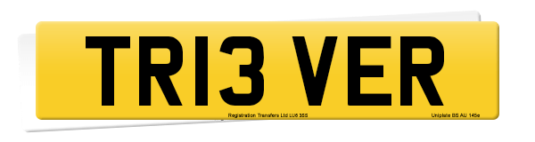 Registration number TR13 VER